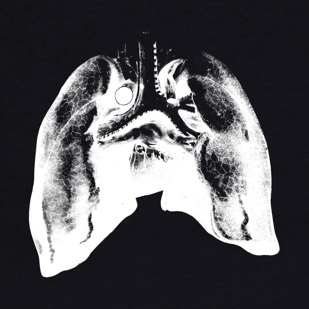 Lungs by Woah_Jonny